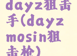 dayz狙击手(dayzmosin狙击枪)