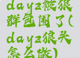 dayz被狼群包围了(dayz狼头怎么做)