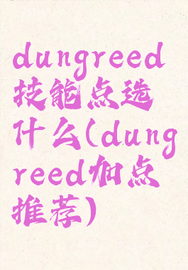 dungreed技能点选什么(dungreed加点推荐)