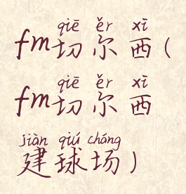 fm切尔西(fm切尔西建球场)