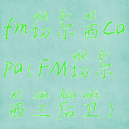 fm切尔西capa(FM切尔西三后卫)