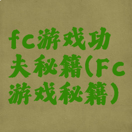 fc游戏功夫秘籍(Fc游戏秘籍)