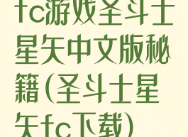 fc游戏圣斗士星矢中文版秘籍(圣斗士星矢fc下载)