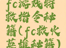 fc游戏特救指令秘籍(fc救火英雄秘籍)