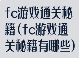 fc游戏通关秘籍(fc游戏通关秘籍有哪些)