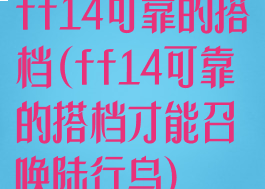 ff14可靠的搭档(ff14可靠的搭档才能召唤陆行鸟)