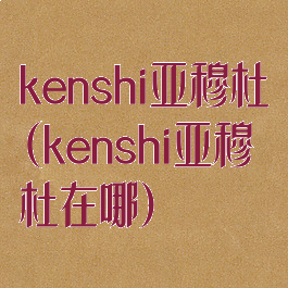 kenshi亚穆杜(kenshi亚穆杜在哪)