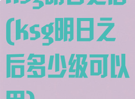 ksg明日之后(ksg明日之后多少级可以用)