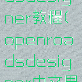 openroadsdesigner教程(openroadsdesigner中文界面)