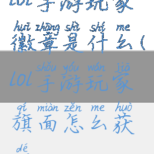 lol手游玩家徽章是什么(lol手游玩家旗面怎么获得)