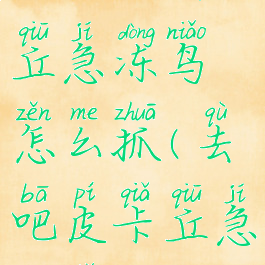 letsgo皮卡丘急冻鸟怎么抓(去吧皮卡丘急冻鸟)