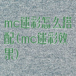 mc迷彩怎么搭配(mc迷彩效果)