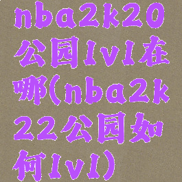 nba2k20公园1v1在哪(nba2k22公园如何1v1)