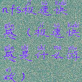 nfs极速快感(极速快感是什么游戏)