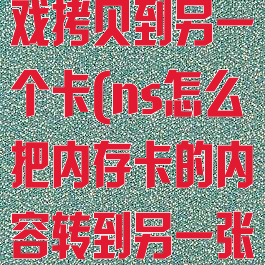 ns内存卡游戏拷贝到另一个卡(ns怎么把内存卡的内容转到另一张卡)