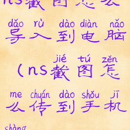 ns截图怎么导入到电脑(ns截图怎么传到手机上)