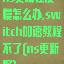 ns更新速度慢怎么办,switch加速教程不了(ns更新慢)