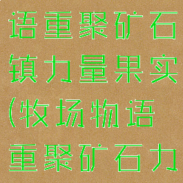 ns牧场物语重聚矿石镇力量果实(牧场物语重聚矿石力之果实)
