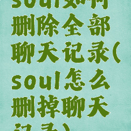 soul如何删除全部聊天记录(soul怎么删掉聊天记录)