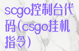 scgo控制台代码(csgo挂机指令)