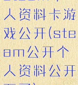 steam个人资料卡游戏公开(steam公开个人资料公开不了)