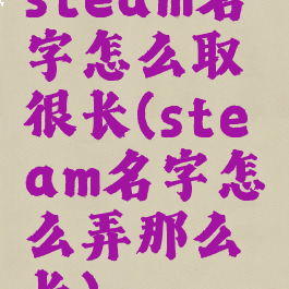 steam名字怎么取很长(steam名字怎么弄那么长)
