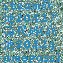 steam战地2042产品代码(战地2042gamepass)