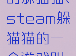 steam里的躲猫猫(steam躲猫猫的一个游戏叫什么)