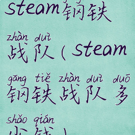 steam钢铁战队(steam钢铁战队多少钱)