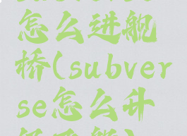 subverse怎么进舰桥(subverse怎么升级飞船)
