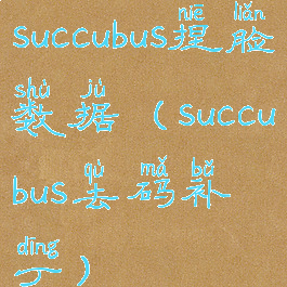 succubus捏脸数据(succubus去码补丁)