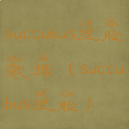succubus捏脸数据(succubus捏脸)