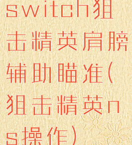 switch狙击精英肩膀辅助瞄准(狙击精英ns操作)