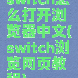 switch怎么打开浏览器中文(switch浏览网页教程)