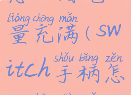 switch手柄怎么看电量充满(switch手柄怎么看电有没有充满)