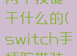 switch手柄腕带上两个按键干什么的(switch手柄腕带装反了怎么拆)