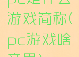 pc是什么游戏简称(pc游戏啥意思)