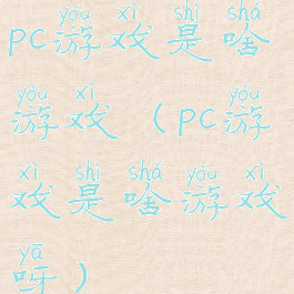 pc游戏是啥游戏(pc游戏是啥游戏呀)