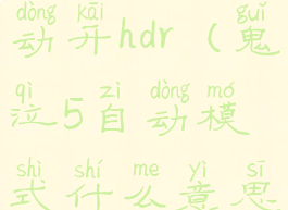 pc鬼泣5自动开hdr(鬼泣5自动模式什么意思)
