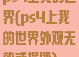 ps4上我的世界(ps4上我的世界外观无效或损毁)