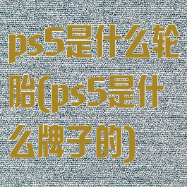 ps5是什么轮胎(ps5是什么牌子的)