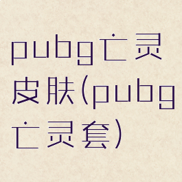 pubg亡灵皮肤(pubg亡灵套)
