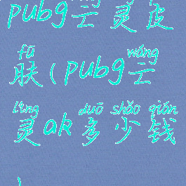 pubg亡灵皮肤(pubg亡灵ak多少钱)