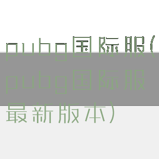 pubg国际服(pubg国际服最新版本)