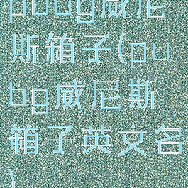 pubg威尼斯箱子(pubg威尼斯箱子英文名)