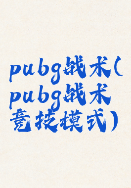 pubg战术(pubg战术竞技模式)