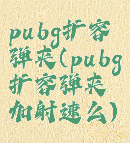pubg扩容弹夹(pubg扩容弹夹加射速么)