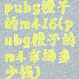pubg橙子的m416(pubg橙子的m4市场多少钱)