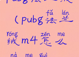 pubg法兰绒(pubg法兰绒m4怎么那么贵)