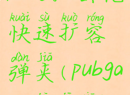 pubg狙击枪快速扩容弹夹(pubgamr狙击枪)